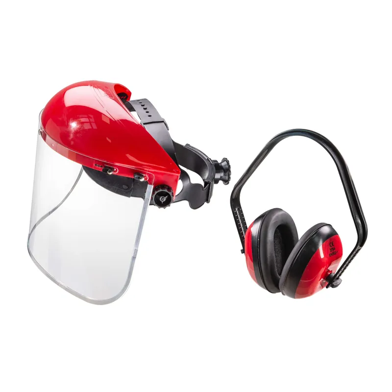 Casti Antifon cu viziera Raider 561414 Ofertă de sezon