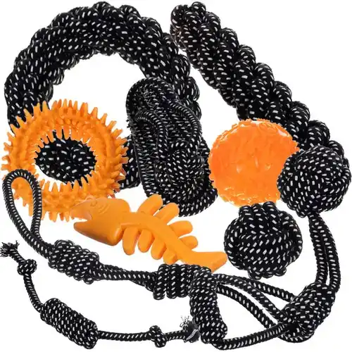 Set jucării pentru câini - 10 buc Purlov 24388 Reducere