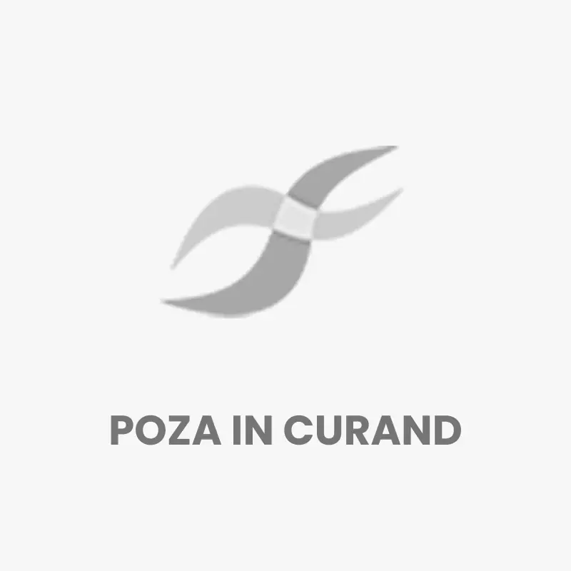 Ofertă Sac praf Nilfisk MULTI, 4 bucati