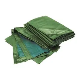 Cumpără online Prelata Rainexo, verde/albastra, 4x6m, 150g/m2