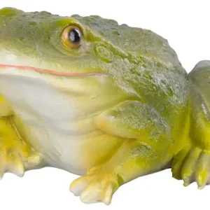 MagicHome decor, Broscuță, poliresină, 15,3x13,7x9 cm Retur gratuit