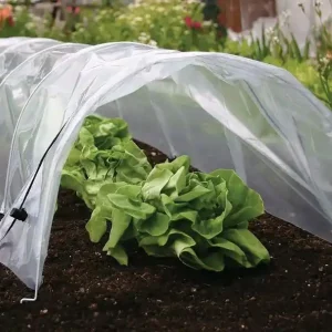 Sera Parenisko Strand Pro, mini foliovník, 55x300x40 cm Mai ieftin