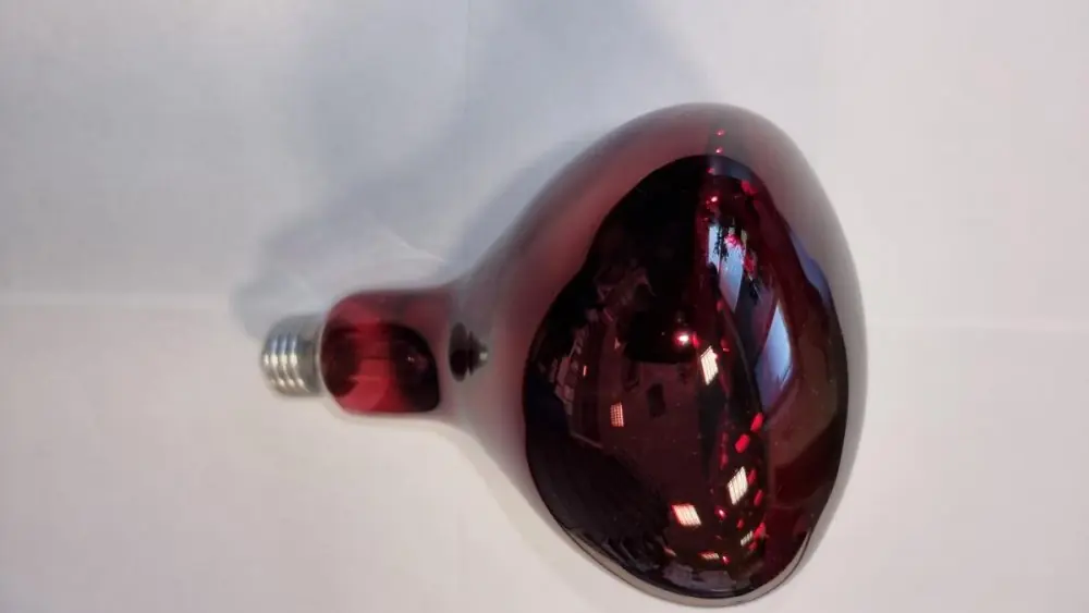 Bec incalzire 250W rosu inchis GAUN Ofertă de sezon