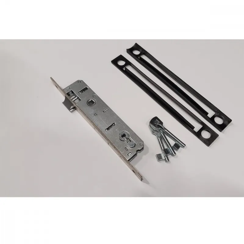 Încuietoare poartă Ofertă specială