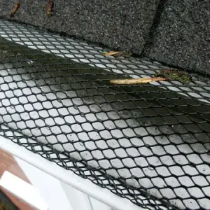 Captorul de frunze Strend Pro, plasă pentru jgheab, 16x600 cm, 16 cleme Vezi acum