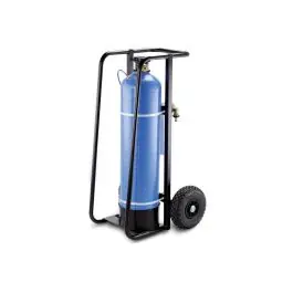 Noutate KARCHER - Dedurizator mobil apa WS 50 [6.368-463.0]