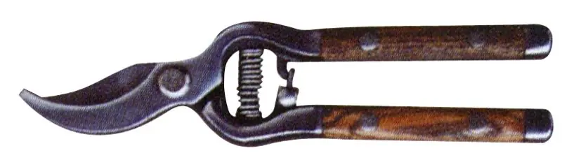 Preț promoțional Foarfece Strend Pro P4740, de grădină, pentru struguri