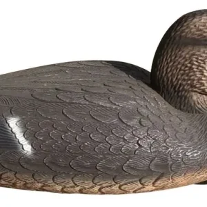 Reducere specială Decoratiunea Strend Pro Rata salbatica, femela, plastic, 38x18x17 cm