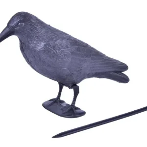 Bird Ranger corb negru, 38 cm Plată sigură