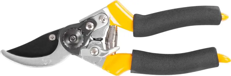 Strend Pro P0315, foarfece de grădină, struguri, mâner burete Ofertă