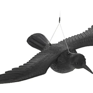 Discount Sperietoare - decor corb negru 40x57,5 cm zburător