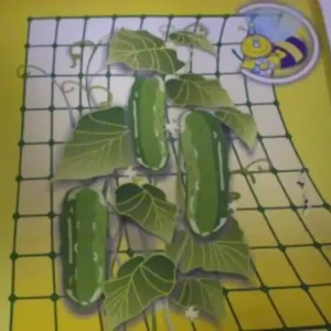 Ofertă exclusivă Rețea de sprijin pentru creștere 1000x1,2m / 15-1208