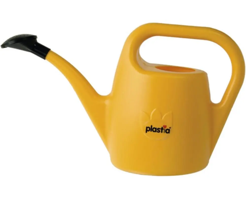 Transport gratuit Krhla UH 2 ls mix de trandafiri EVA KLC