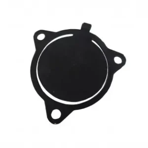 Clapeta, supapa oprire apa, pentru motopompele Ruris MP100 Retur gratuit