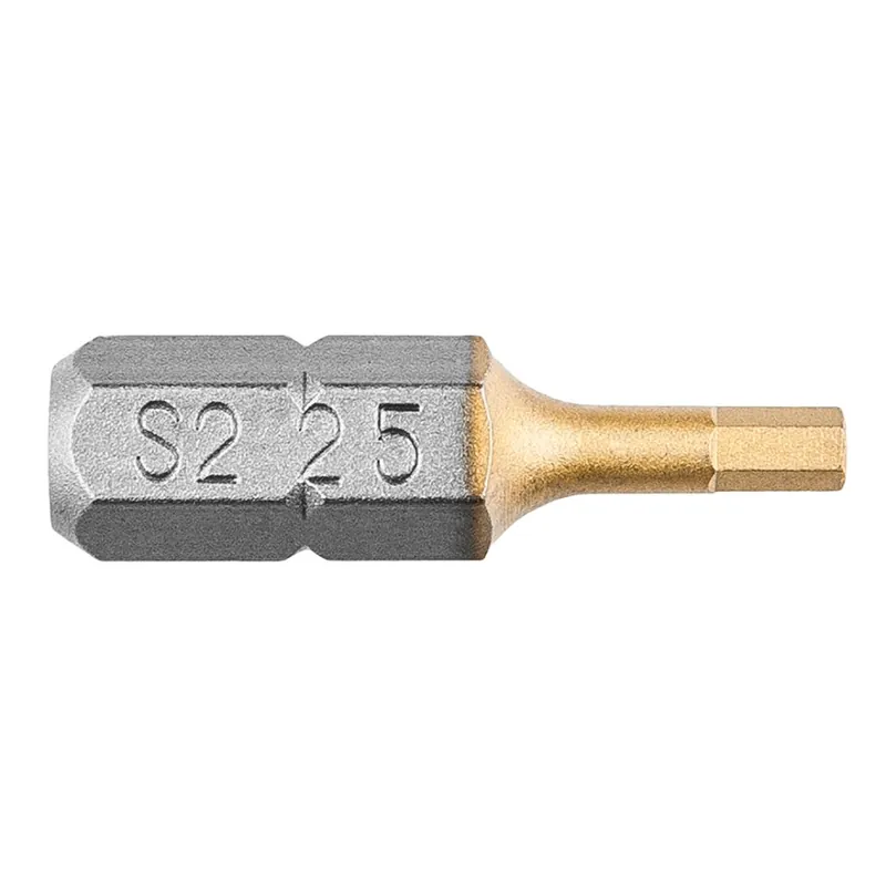 Bits, Allen 2,5 x 25 mm, 2 buc 57H966 Preț promoțional