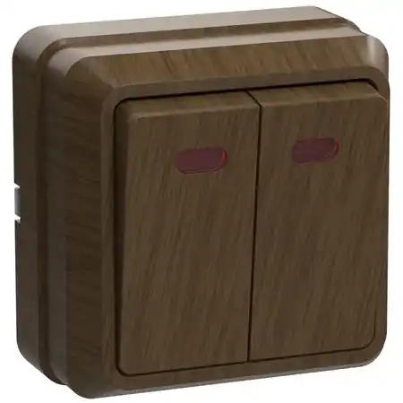 VC20-2-1-OD Dubla -butonSelectorwith an indicator 10A OKTAVA (oak) Iek Doar azi