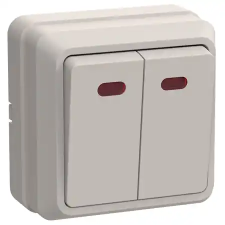 VS20-2-1-okm SelectorDubla -butonwith the indicator10A OKTAVA (cream) Iek Cumpără online